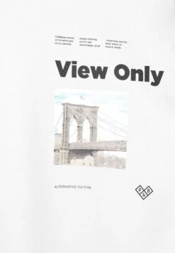 PULL & BEAR Grey Stwd Print- T-Shirt Con Stampa - Light Grey -Pull & Bear 0541c4b32fa940b5963b06a8227077aa