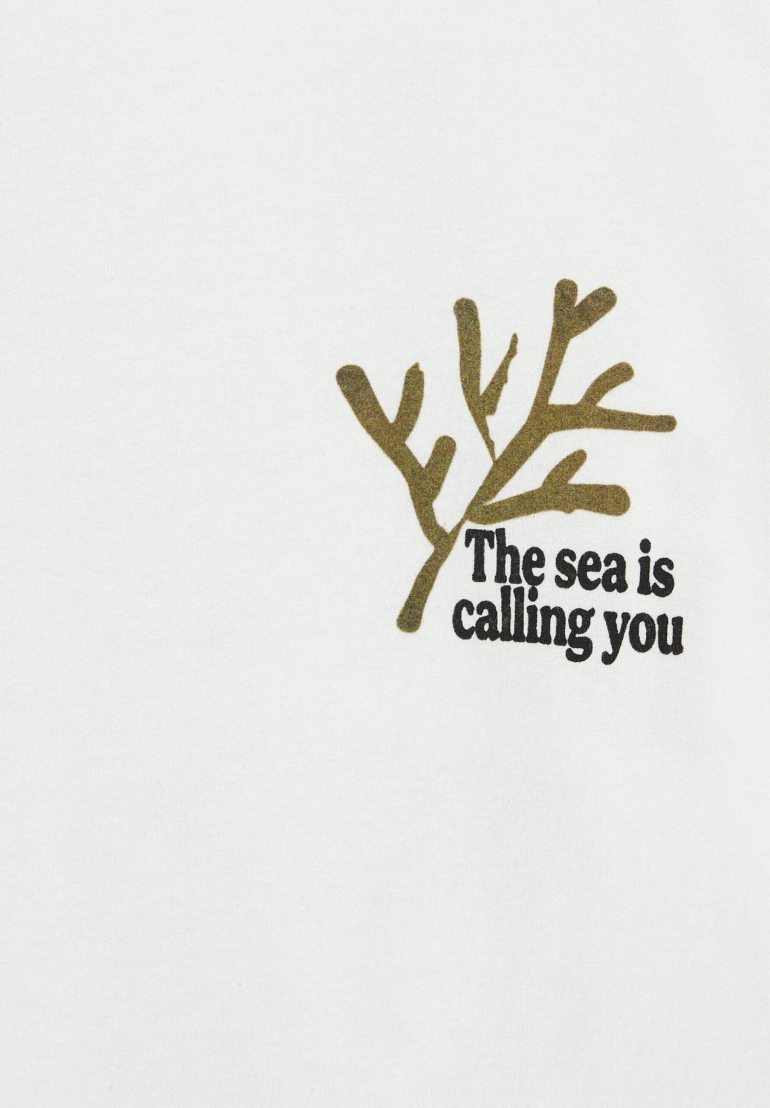 PULL & BEAR The Sea Is Calling YouT-Shirt Con StampaWhite Uomo T-shirt E Polo PUC22O1NG-A11 7 PULL & BEAR The Sea Is Calling YouT-Shirt Con StampaWhite Uomo T-shirt E Polo PUC22O1NG-A11 - immagine 7