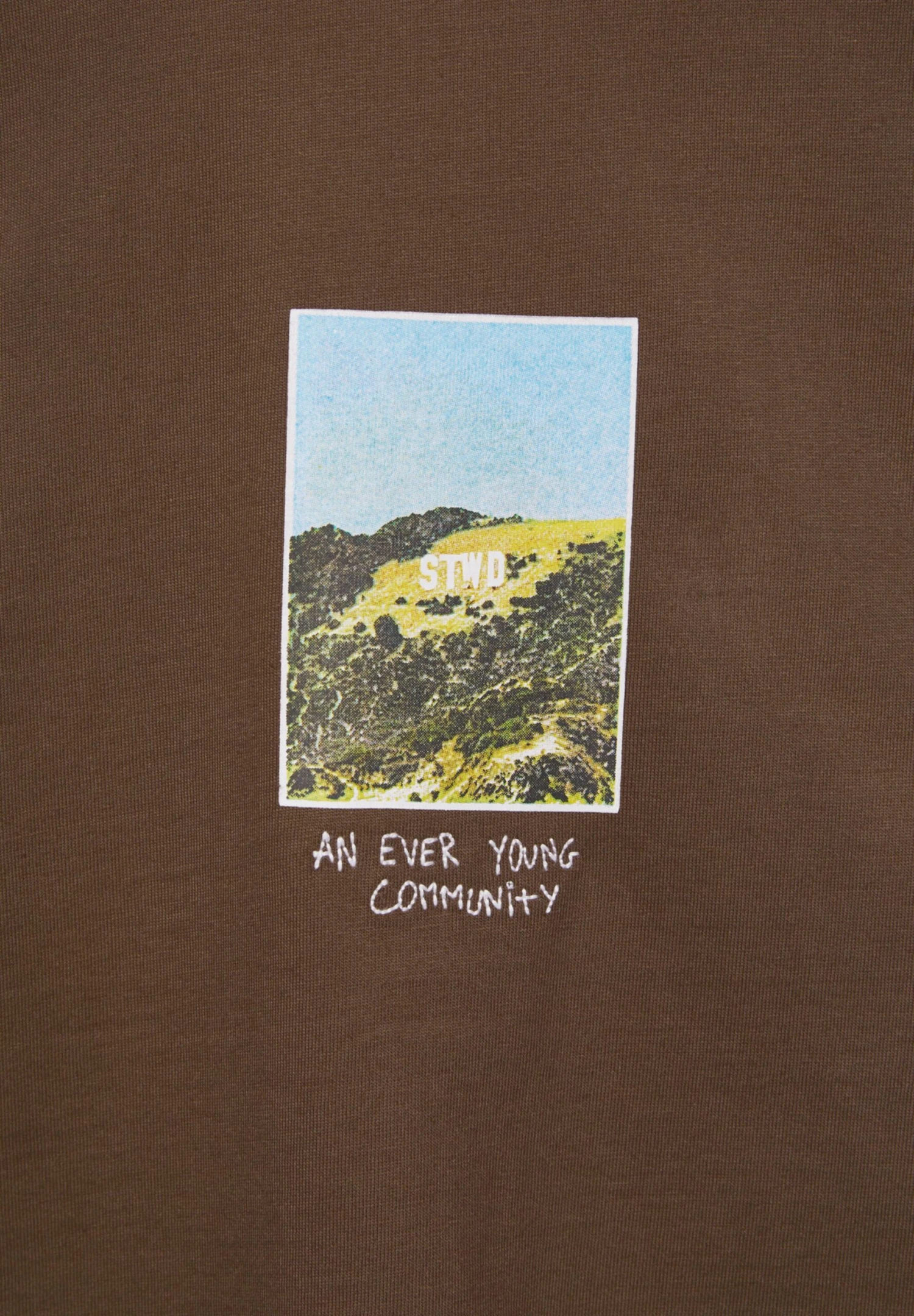 PULL & BEAR Stwd PrintT-Shirt Con StampaDark Brown Uomo T-shirt E Polo PUC22O1O9-O11 7 PULL & BEAR Stwd PrintT-Shirt Con StampaDark Brown Uomo T-shirt E Polo PUC22O1O9-O11 - immagine 7