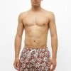 PULL & BEAR Daisy - Shorts Da Mare - Brown