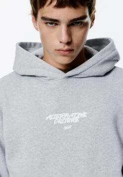 PULL & BEAR STWD APPLE - Felpa - Light Grey -Pull & Bear 8bd39fb5c1de474280af069ebf1a48ae