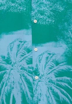 PULL & BEAR Short Sleeve Stwd Palm TreeCamiciaTurquoise Uomo Camicie PUC22D0JH-L11 -Pull & Bear c94cc5af9c35469bb494fb613f0d1c5c